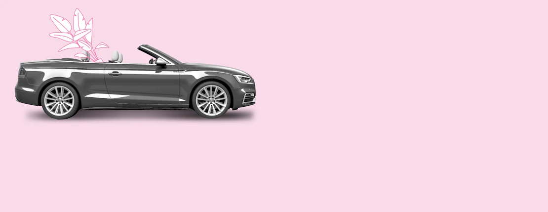 banner fondo rosa